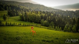 IMG_20170520_174022_HDR-2