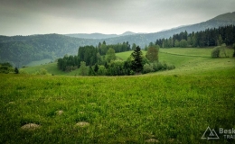 IMG_20170520_174602_HDR