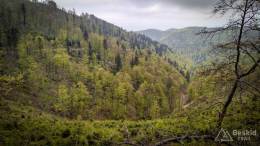 IMG_20170521_141458_HDR