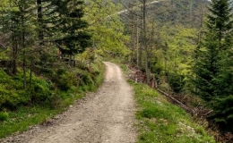 IMG_20170521_141552_HDR