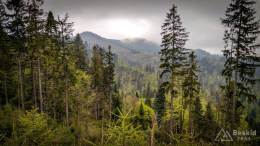 IMG_20170521_142911_HDR