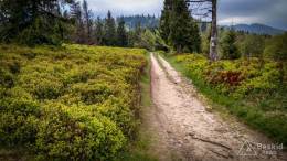 IMG_20170521_153207_HDR