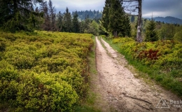 IMG_20170521_153207_HDR
