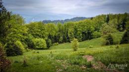 IMG_20170521_154303_HDR