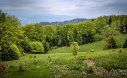 IMG_20170521_154303_HDR