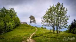 IMG_20170521_154657_HDR