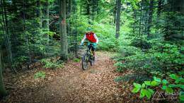 IMG_20170521_155622_HDR