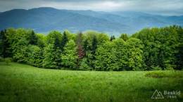 IMG_20170521_160417_HDR