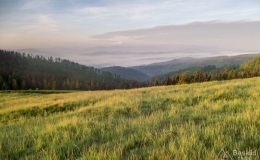 DSCF7236