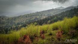 IMG_20170507_135428_HDR kopia