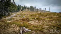 IMG_20170507_160847_HDR kopia