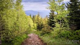 IMG_20170526_172836_HDR