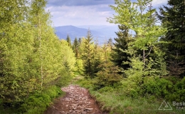 IMG_20170526_172836_HDR