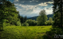 IMG_20170526_175847_HDR