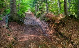 IMG_20170526_180143_HDR