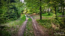 IMG_20170526_181655_HDR