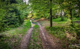 IMG_20170526_181655_HDR
