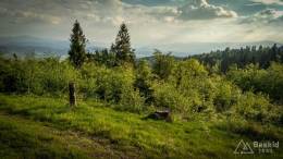 IMG_20170526_182021_HDR