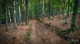 IMG_20170526_182734_HDR