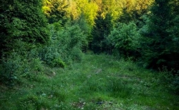 IMG_20170526_190155_HDR