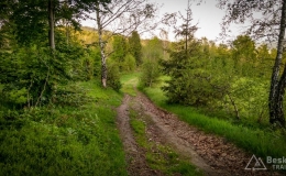 IMG_20170526_191312_HDR