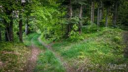 IMG_20170526_193438_HDR