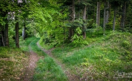 IMG_20170526_193438_HDR