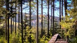 IMG_20170528_104653_HDR