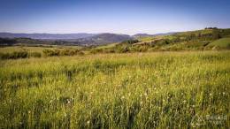 IMG_20170528_184031_HDR