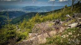 IMG_20170527_150249_HDR