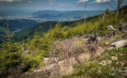 IMG_20170527_150249_HDR