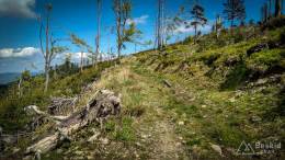 IMG_20170527_150254_HDR