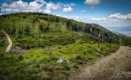IMG_20170527_152942_HDR
