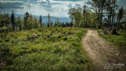 IMG_20170527_153958_HDR