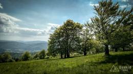 IMG_20170527_154243_HDR