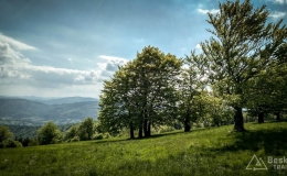 IMG_20170527_154243_HDR