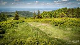 IMG_20170527_154510_HDR