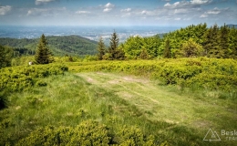 IMG_20170527_154510_HDR
