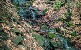 IMG_20170527_155623_HDR