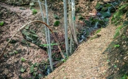 IMG_20170527_155747_HDR