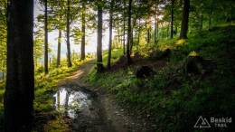 IMG_20170527_190329_HDR