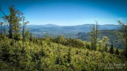 IMG_20170528_114750_HDR