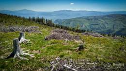 IMG_20170528_123210_HDR