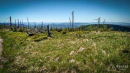 IMG_20170528_124317_HDR