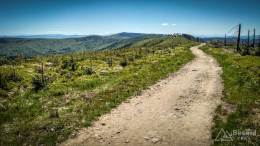 IMG_20170528_124320_HDR