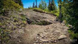 IMG_20170528_130120_HDR