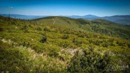 IMG_20170528_132945_HDR