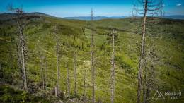 IMG_20170528_135840_HDR