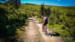 IMG_20170528_152101_HDR