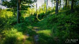 IMG_20170528_162544_HDR